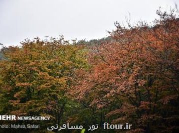 با حضور مدیرکل دفتر مطالعات و آموزش گردشگری؛ سند تنظیمی طرح ساماندهی گردشگری جنگل ها و سواحل کشور بررسی گردید