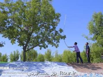 ولی تیموری: اگر نسل جوان روستاها را ترک کنند گردشگری روستایی حذف می شود