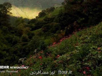 نمایشگاه آثار سرامیک و عکاسی از کشاورزی سنت مکزیک برپا شد