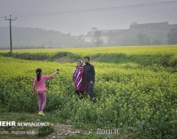 سفارش هایی برای آخر تعطیلات
