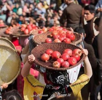 رئیس میراث فرهنگی کاشان: برگزاری جشنواره انار جوشقان کاشان مهرماه